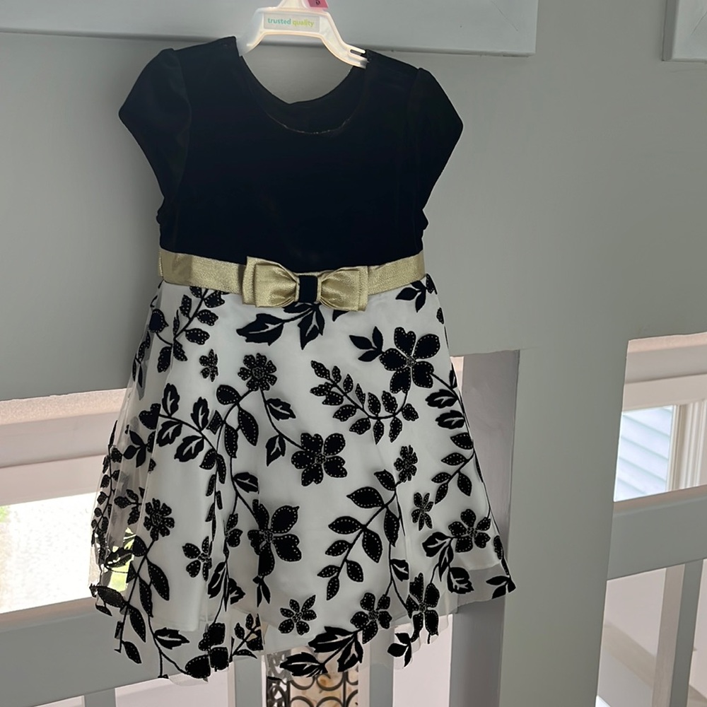 Toddler girl special occasion dress
